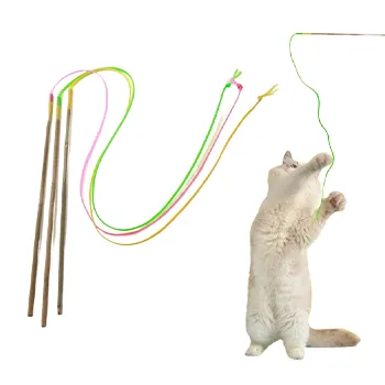 petpoint