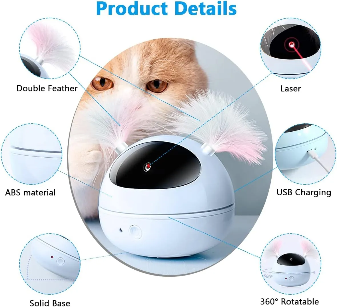 petpoint