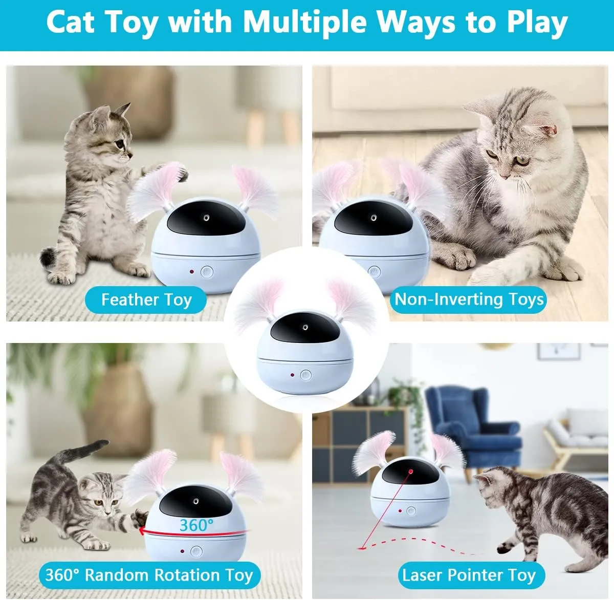 petpoint