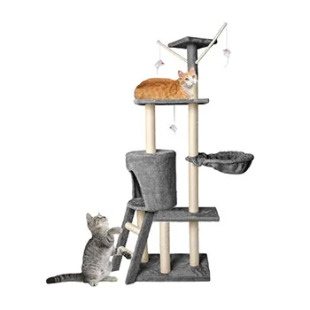 petpoint