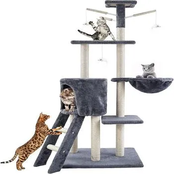 petpoint