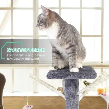 petpoint