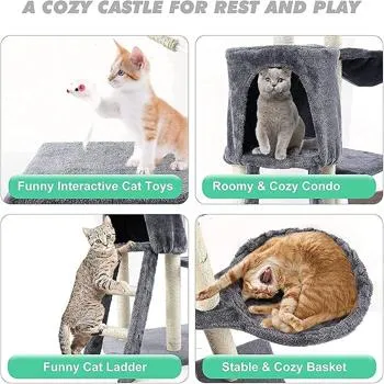 petpoint