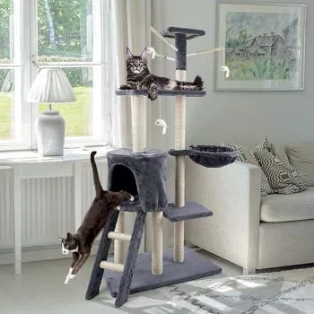petpoint