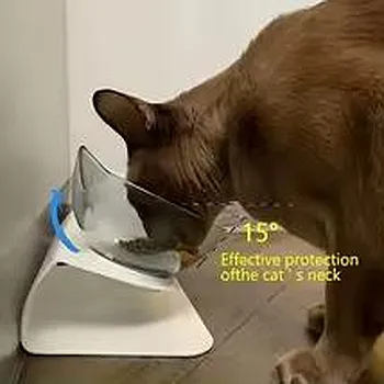petpoint