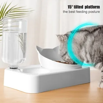 Double Bowl with Water Feeder Rectangular Base for Cat & Dog - 2