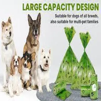petpoint