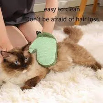 petpoint