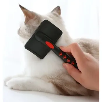 petpoint
