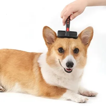 petpoint