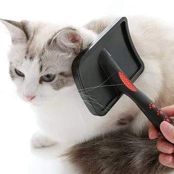 petpoint