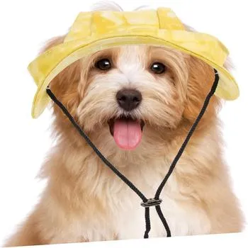petpoint