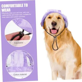petpoint