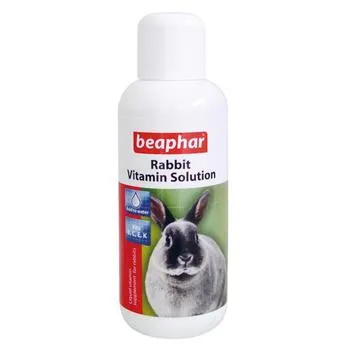 petpoint