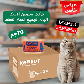 petpoint