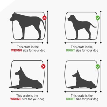 petpoint