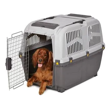 petpoint