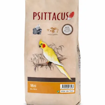 petpoint
