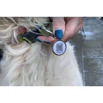 petpoint