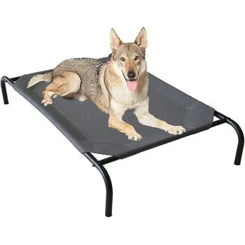 petpoint