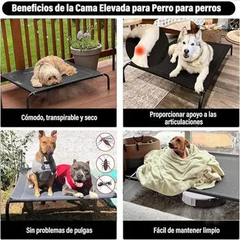 petpoint