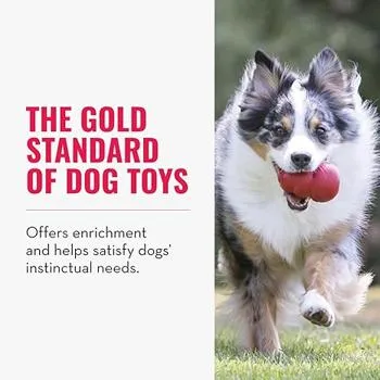 petpoint