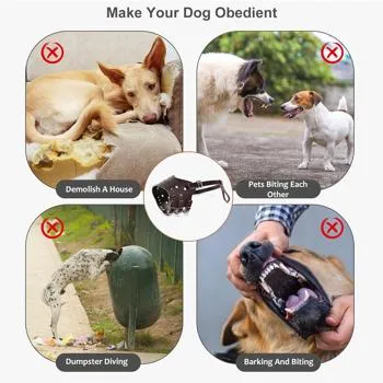 petpoint