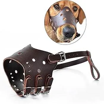 petpoint