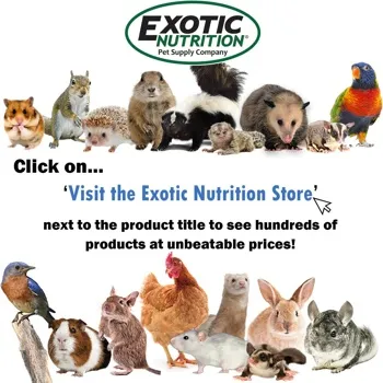 petpoint