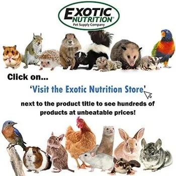 petpoint