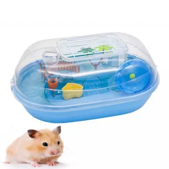 petpoint