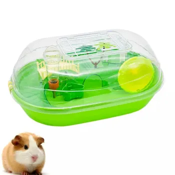 petpoint