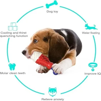 petpoint