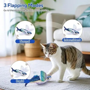 petpoint