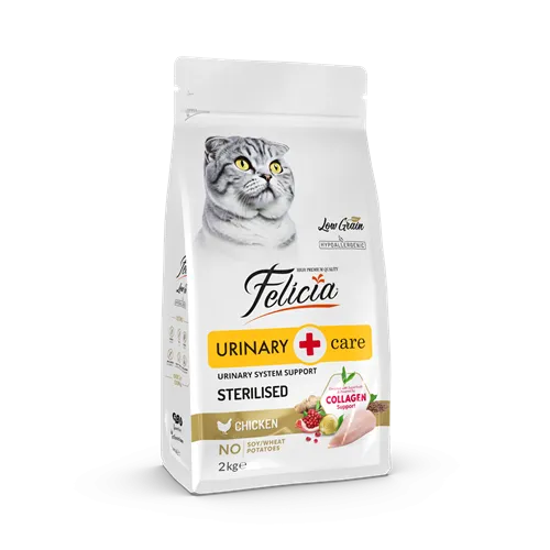 petpoint