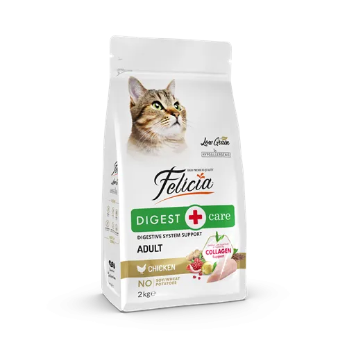 petpoint