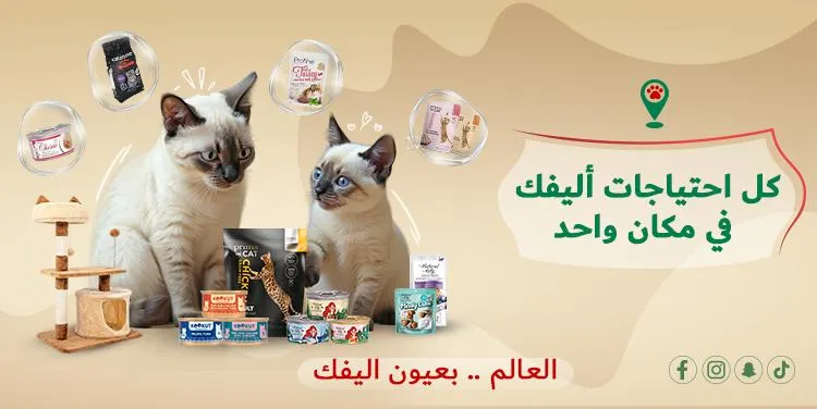 petpoint