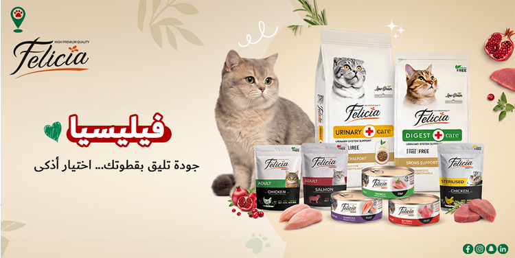 petpoint